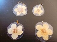 Ohrringe, Anhänger aus getrockneten Blüten laminiert - Dortmund Aplerbeck
