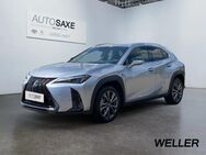 Lexus UX 250h, F SPORT Design Bi, Jahr 2023 - Leipzig Alt-West