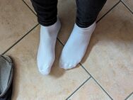 Getragene Socken 2 Tage getragen - Ibbenbüren