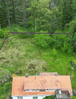 WOHNEN WIE IM URLAUB Einfamilienhaus mit Terrasse, Balkon, Garage und kinderfreundlichem Garten in ruhiger Waldrandlage von Staufenberg-OT - Staufenberg (Niedersachsen)