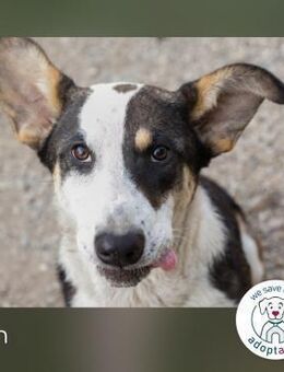 Jim: Sucht ein Abenteuer - Kirchzell