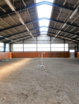 Vorbildliche Reitanlage zum Top-Preis ! inklusive großzügigem Wohnhaus bei Heide - Holstein - Nordhastedt
