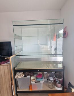 Nagarium / Terrarium - Koblenz
