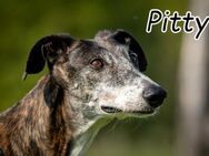 Pitty Platsch sucht die Liebe - Essingen (Rheinland-Pfalz)