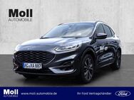 Ford Kuga, 2.0 ST-Line X Techno Styling Winter 19, Jahr 2023 - Aachen