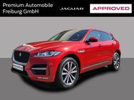 Jaguar F-Pace, 20D AWD R-SPORT APPROVED, Jahr 2020 - Freiburg (Breisgau)