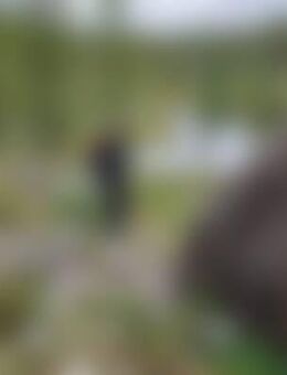 Wer*** - Elstertrebnitz