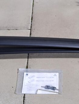 Dachgepäckträger für Renault Scenic - Singen (Hohentwiel)