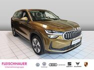 Skoda Kodiaq, 2.0 EU6e Selection, Jahr 2024 - Bonn