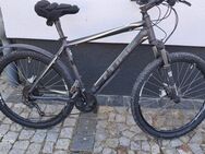 Verkauf Mountainbike 26er - Ilsenburg (Harz) Zentrum