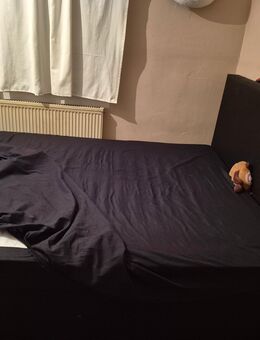Boxspringbett - Pyrbaum