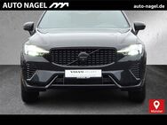 Volvo XC60, Recharge T8 Plus Black Edition |, Jahr 2024 - Münster