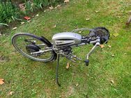 Zuggerät Speedy Elektra für Rollstuhl - Gelsenkirchen