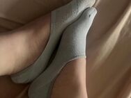 Socken - Frankfurt (Main)