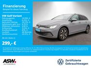 VW Golf Variant, 1.0 TSI Life MOVE, Jahr 2024 - Neckarsulm