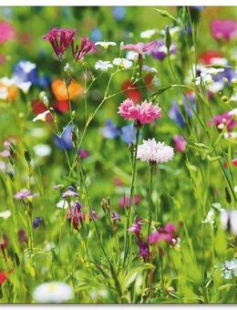 Artland Glasbild Blumenwiese I, Blumenwiese (1 St), in verschiedenen Größen