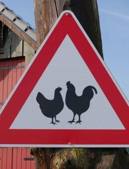FERIENANLAGE! Renditeobjekt! EG barrierefrei - neuwrtige Immobilie-PV-Anlage-Erdwärme-LWW-Wallboxen! - Fischbach (Dahn)