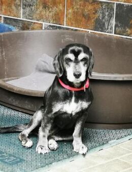 Dita, super brave Seniorin - Heinsdorfergrund