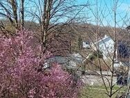 Schöne Etagenwohnung mit Aussicht und Garage - Hagenbach