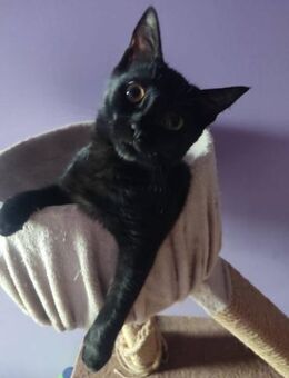 AMY ist ein kleines Wunder ♥️ - München