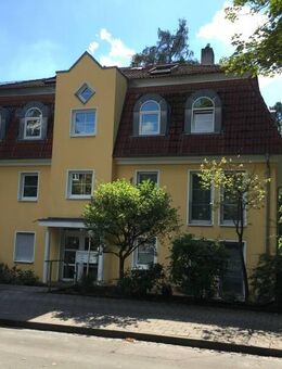 Helle und toll aufgeteilte Wohnung in der Schwedenstraße - Fürth-Dambach - Parkett - Fürth