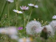 Schönes Grundstück für Familien im begehrten Pullach im Isartal - Pullach (Isartal)