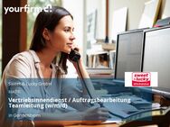 Vertriebsinnendienst / Auftragsbearbeitung Teamleitung (w/m/d) - Gondelsheim
