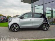 Smart forfour Exclusive 22kW Panorama Kamera SHZ EP - Glandorf