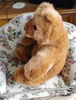 Bebe-Plüsch-Teddy,ca. 19 cm - Linnich