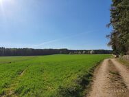 Wohngrundstück in sonniger, unverbaubarer Lage mit herrlicher Aussicht - Hahnbach