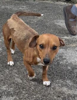 RICSI - UNSICHERES ZUHAUSE - Nörten-Hardenberg