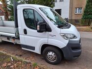 Transporter Pritsche Fiat Ducato Bj. 2018 HU/AU neu ü - Berlin