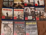 The Walking Dead Alle Staffeln! 1 - 11 ! Agent Carter, Dune 1 - Berlin