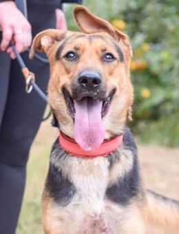 Chispa wer zeigt ihr die Sonnenseiten? - Laatzen