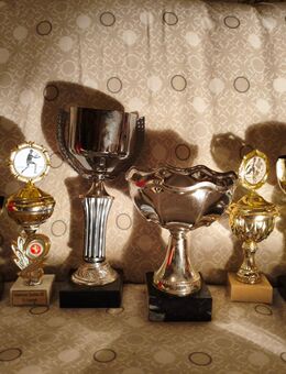 Pokale verschiedener Art - Korbach (Hansestadt) Zentrum