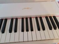 Neues e- Piano/ Keyboard zum Superpreis! - Bohmstedt