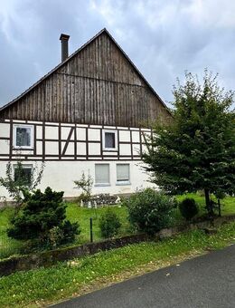 Mehrfamilienhaus mit vielseitigen Nutzungsmöglichkeiten in ruhiger Lage zu verkaufen - Bad Driburg