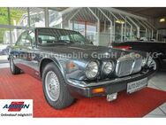 Jaguar XJ V12 Double Six Automatik ++SCHIBEDACH++ - Lahnstein