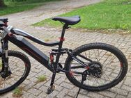 Telefunken E-Bike »Aufsteiger M930« - Aurich