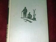 Buch, Roman, KAMERADEN DER BERGE, Luis Trenker, 1952 - Fürth