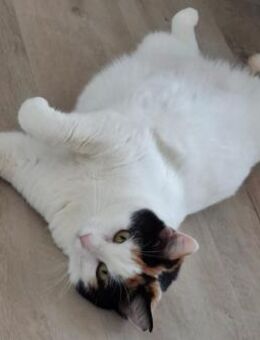 Freundliche Ina - Ellerbek