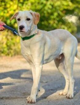 Egon, ❤️Schutzgebühr 500 - Burgsinn