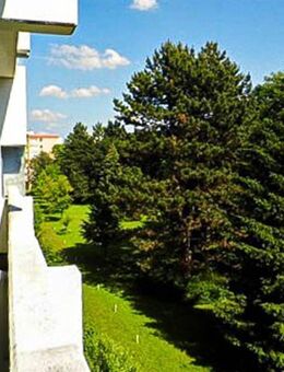 München-Sendling: Sonnige 3-Zi. Whg. mit gr. Süd-Blk Bad mit Fenster - München