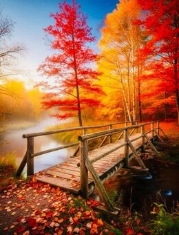 Gute Freundin - Singen (Hohentwiel)