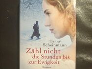 Danny Scheinmann - Zähl nicht die Stunden bis zur Ewigkeit (Gebunden) - Essen