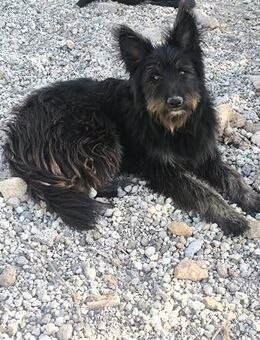 Valentino - Lorsch (Karolingerstadt)