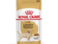 Royal Canin Labrador Retriever Adult in Soße - Sparpaket: 20 x 140 g