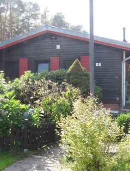 noch verfügbar: Ferienhaus in der Lüneburger Heide - auch mit Hund! - Neuenkirchen (Landkreis Heidekreis)