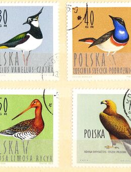 Polnische Briefmarken Wildvögel (439) - Hamburg
