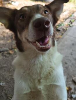 Jule - fröhliches, kluges Mädchen - Berlin